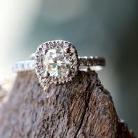 Show me your creative ring shot!