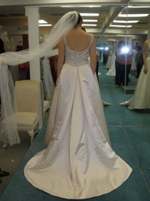Not your dream dress (pic heavy)
