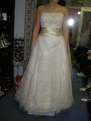 Not your dream dress (pic heavy)