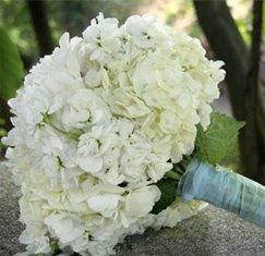 What Flowers????