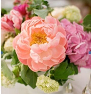 Centerpieces!