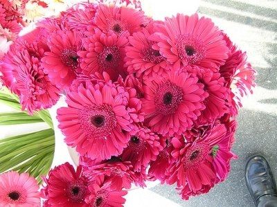 Black and Pink Wedding Ideas Please?