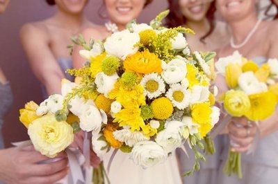 Sunflowers, Daisys, Oh My..