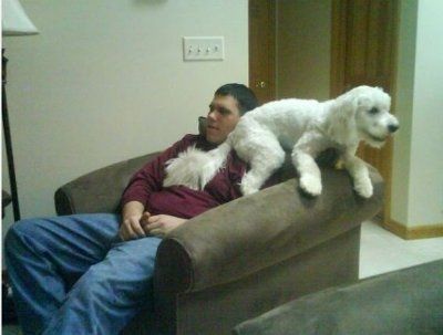 Furbabies!!! Lets show them off!