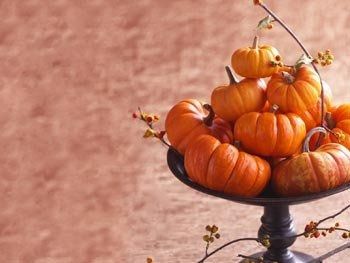 Centerpieces for a Fall wedding