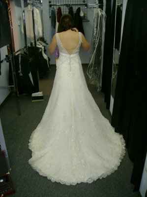 My dress is in!! pics :)