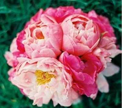 Lemme see your bouquets!