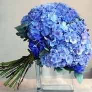 What Flowers????