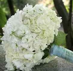What Flowers????