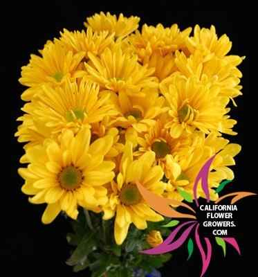 flowers for bridemaids