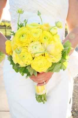 Sunflowers, Daisys, Oh My..