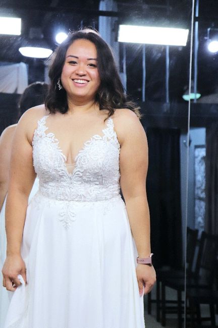 i said "yes!" to the dress!  (lots of pictures) 2
