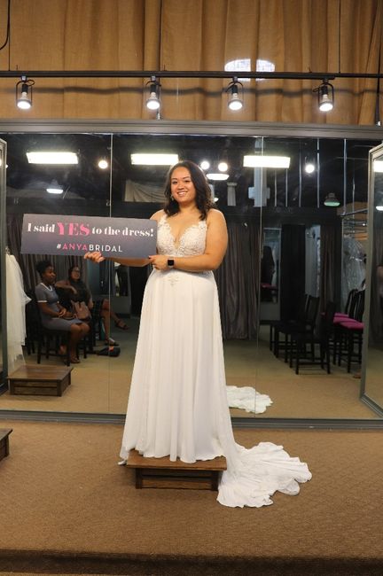 i said "yes!" to the dress!  (lots of pictures) 7