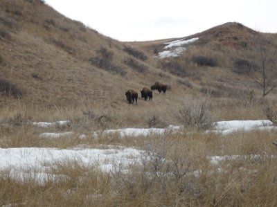 Back from North Dakota! still undecided.