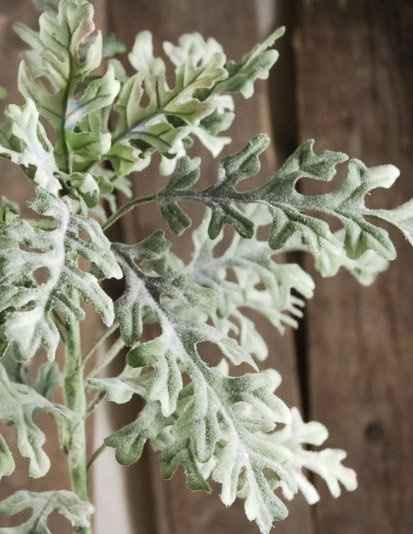 Vent: Floral Frustations