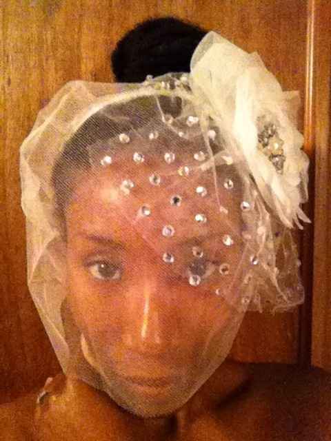 DIY Birdcage Veil, What cha think?