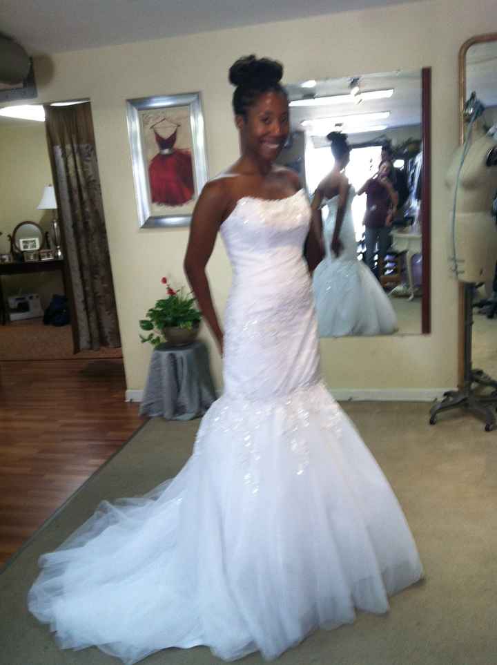 1st official dress fitting! (Pics Inside)