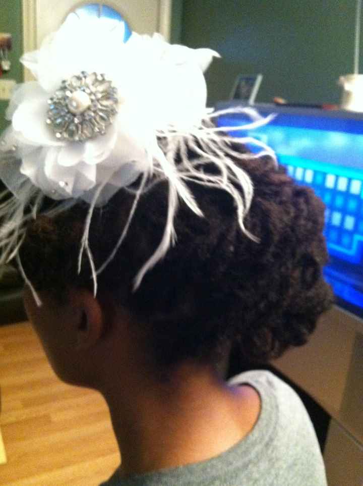 Hair Trial Yesterday (Locs w/ pics)