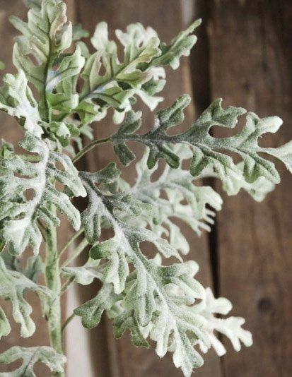 Vent: Floral Frustations