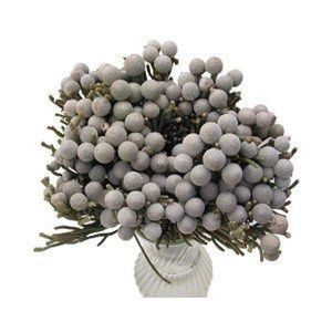 Vent: Floral Frustations