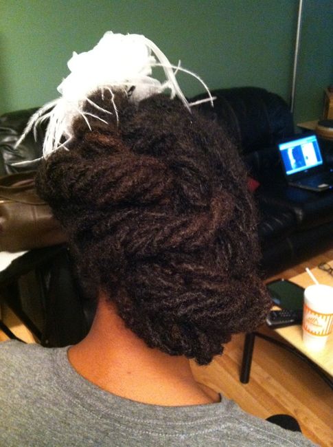 Hair Trial Yesterday (Locs w/ pics)