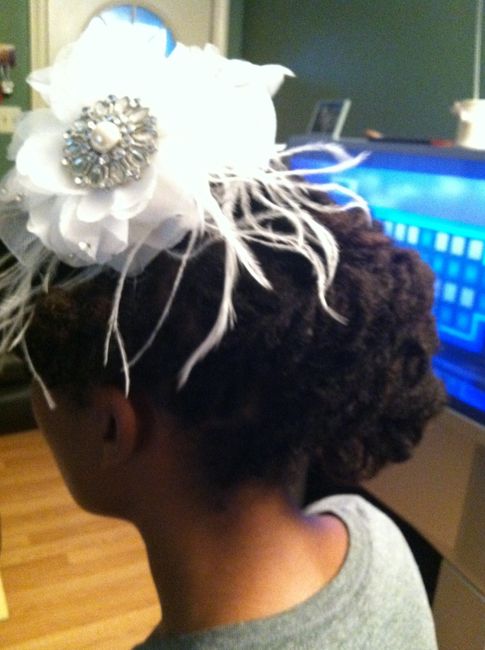 Hair Trial Yesterday (Locs w/ pics)