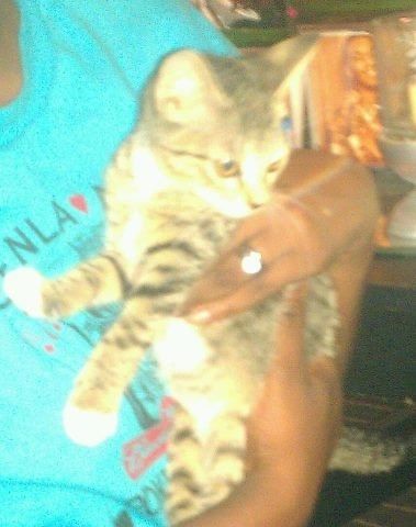 MEET COUPER!!! PIC!