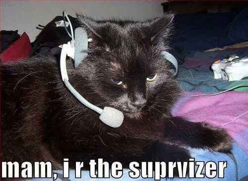 NWR today has been literal shit