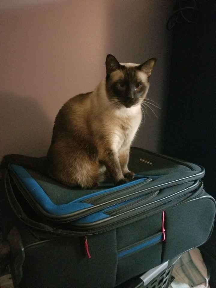 NWR: got fired today and need cheering up!