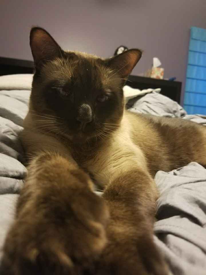 NWR: Shameless pet post!