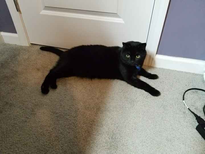 NWR: Shameless pet post!