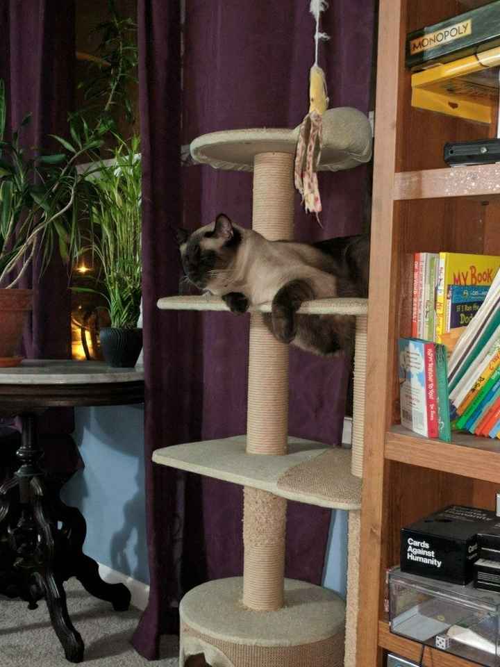 NWR: Just A Little Pick Me Up Post