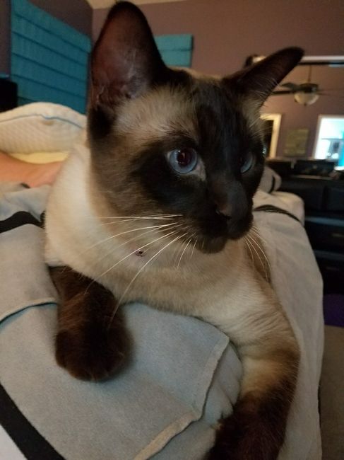 Just saying hi