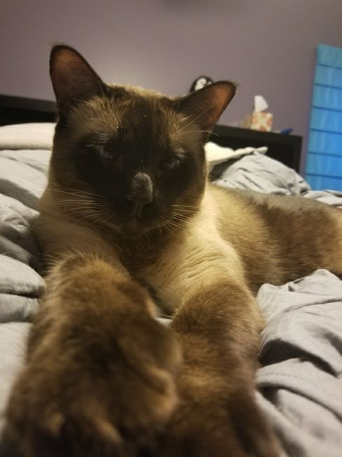 NWR: Shameless pet post!