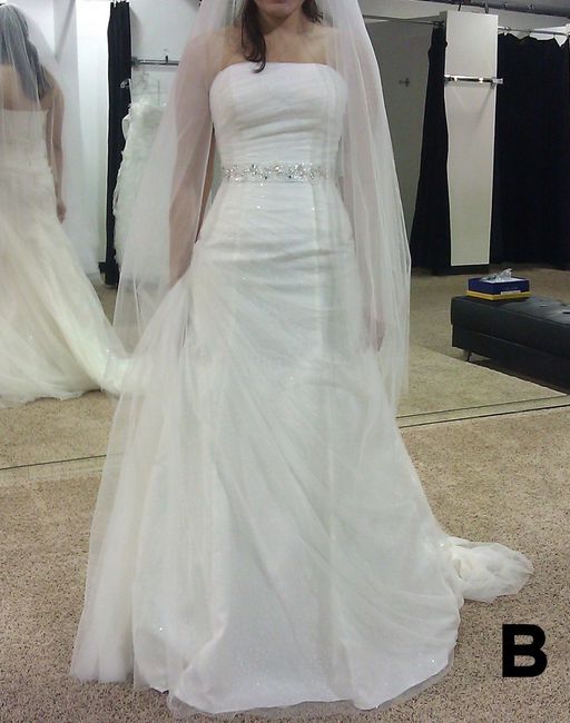 Please help! Dress Question