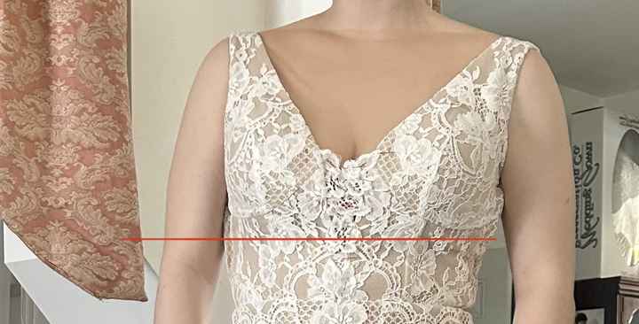 Dress Alteration Concerns - 1