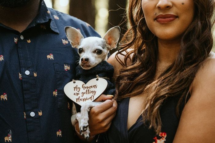 Show me your pup! - 2