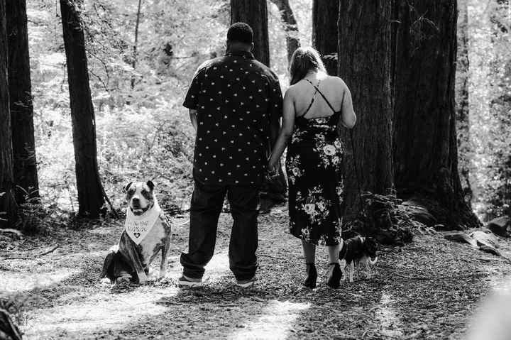 Dogs in engagement photos - 5