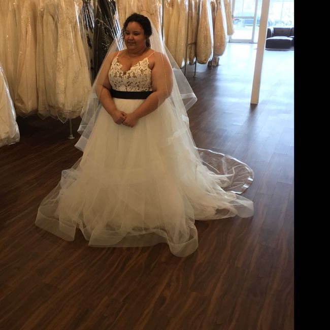 Plus size brides? - 1