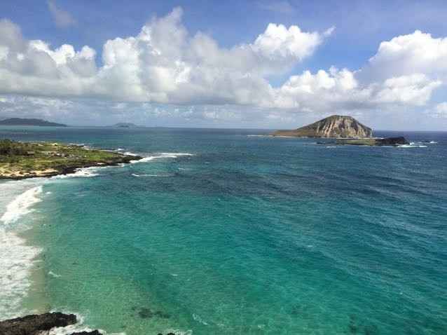 Disney World vs. Hawaii