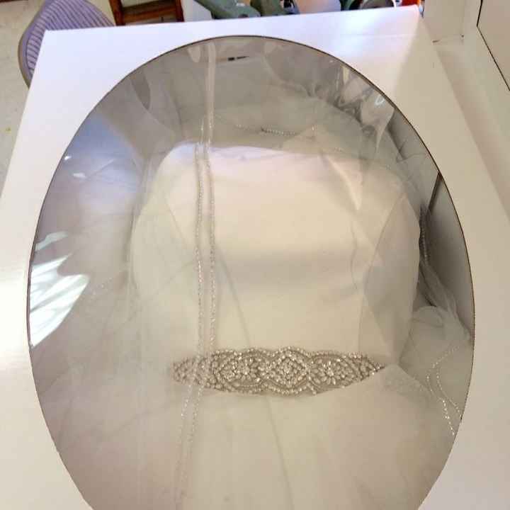 Dress Cleaning & Preservation