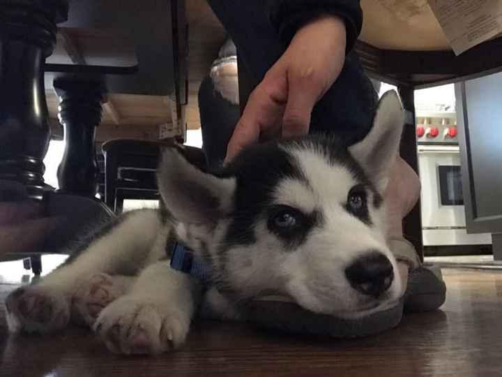 NWR today has been literal shit