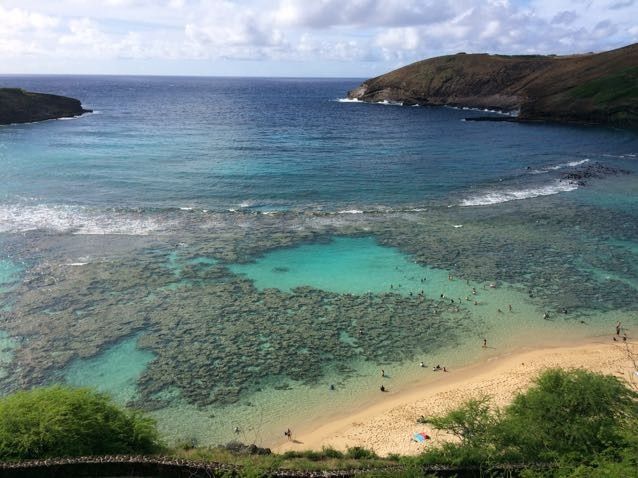 How much did you save?