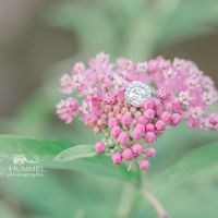 Brides of 2022! Show us your ring! - 1