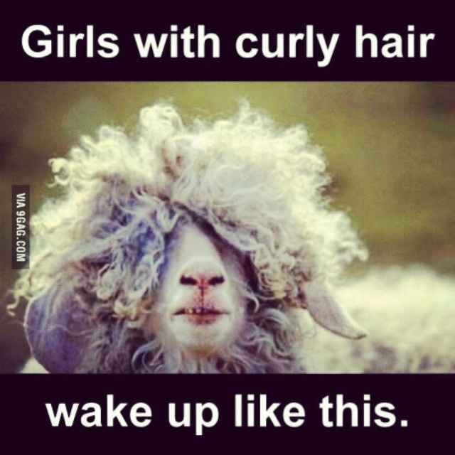 NWR Curly Hair Help