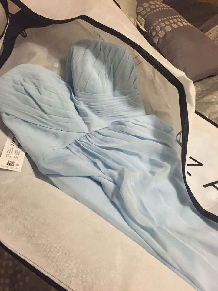 Guys! My bridesmaid dresses came in!