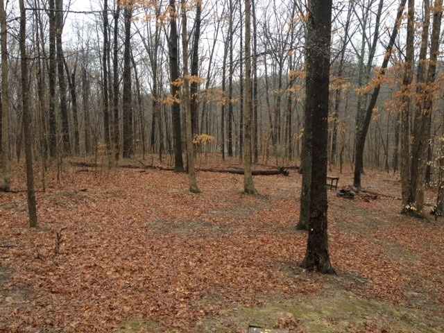 I'm getting married in the woods! (pics)