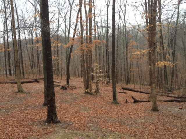 I'm getting married in the woods! (pics)