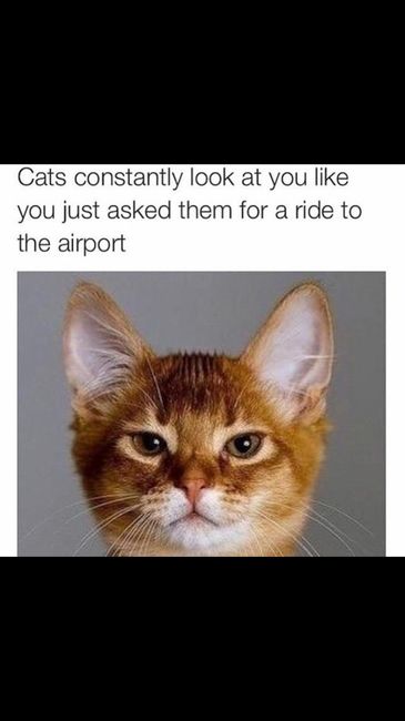 NWR: Cool fact, story, meme...