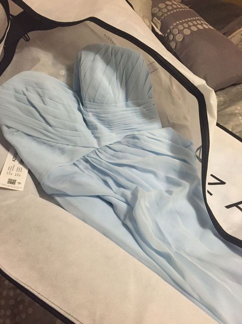 Guys! My bridesmaid dresses came in!